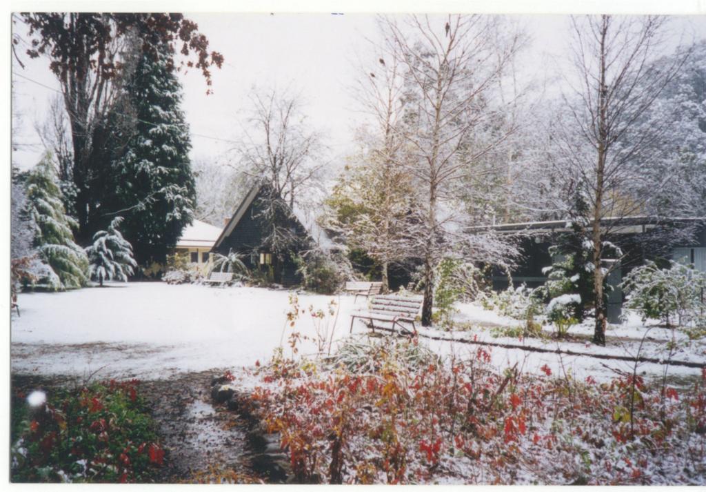 Mountain View Holiday Retreat Harrietville Exterior foto
